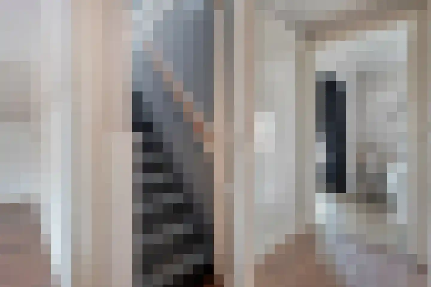 Getfertsingel 125 Enschede thumbnail 35