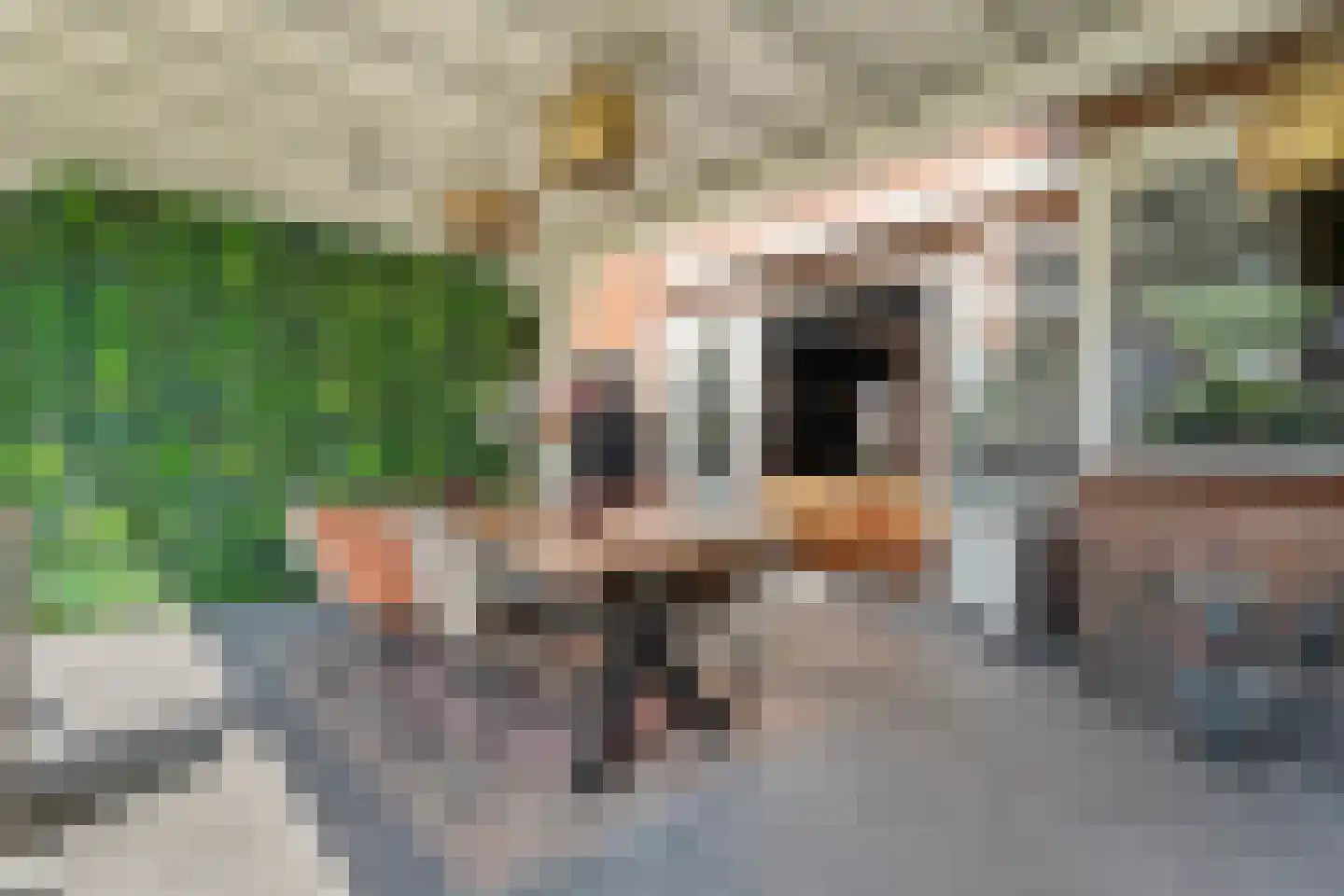 Getfertsingel 125 Enschede thumbnail 53