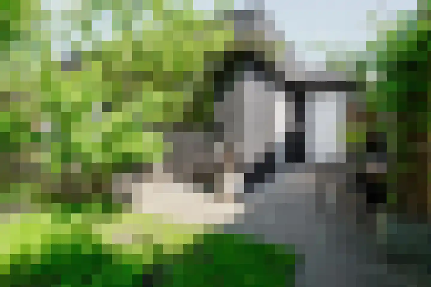 Getfertsingel 176 Enschede thumbnail 39