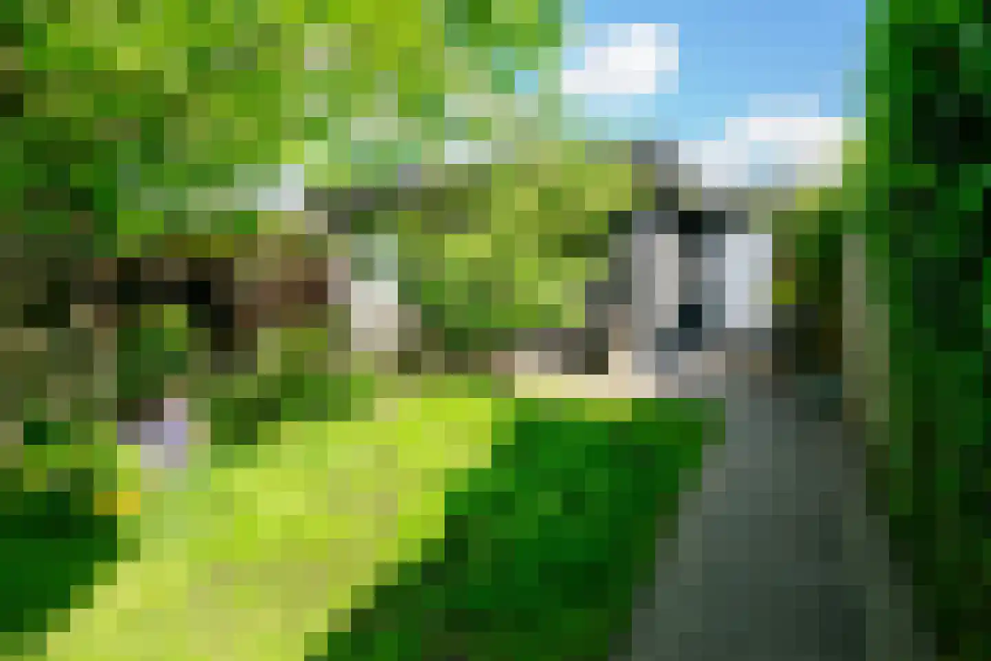 Getfertsingel 176 Enschede thumbnail 52