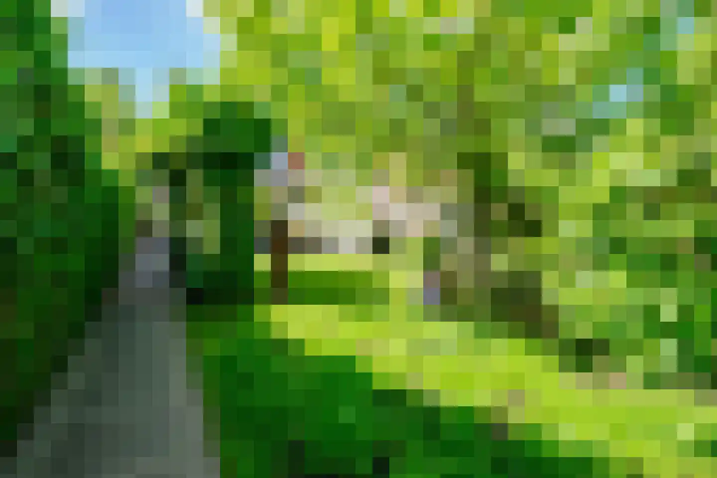 Getfertsingel 176 Enschede thumbnail 53