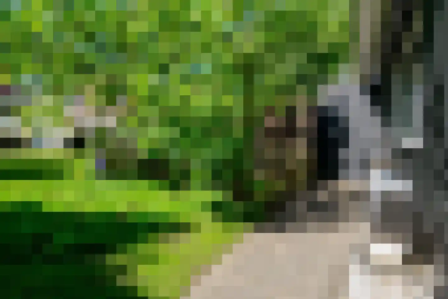 Getfertsingel 176 Enschede thumbnail 54
