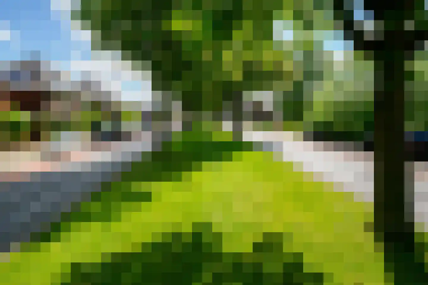 Getfertsingel 176 Enschede thumbnail 60