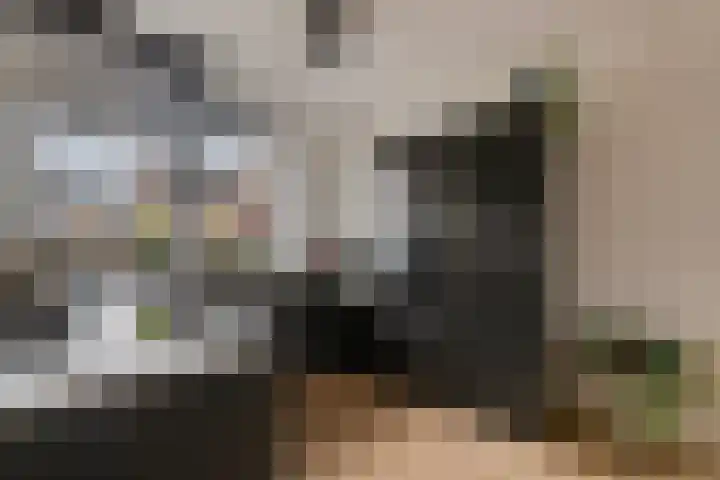 Getfertweg 153 Enschede thumbnail 12