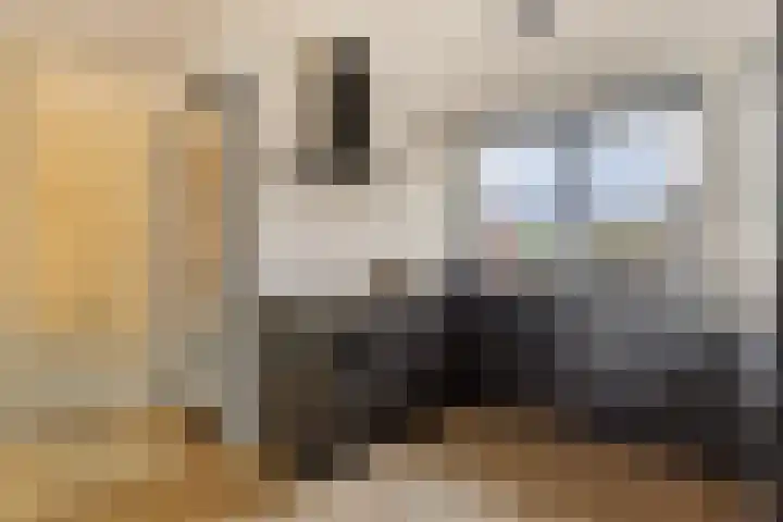 Getfertweg 153 Enschede thumbnail 14