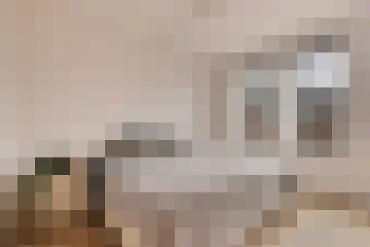 Getfertweg 153 Enschede thumbnail 18