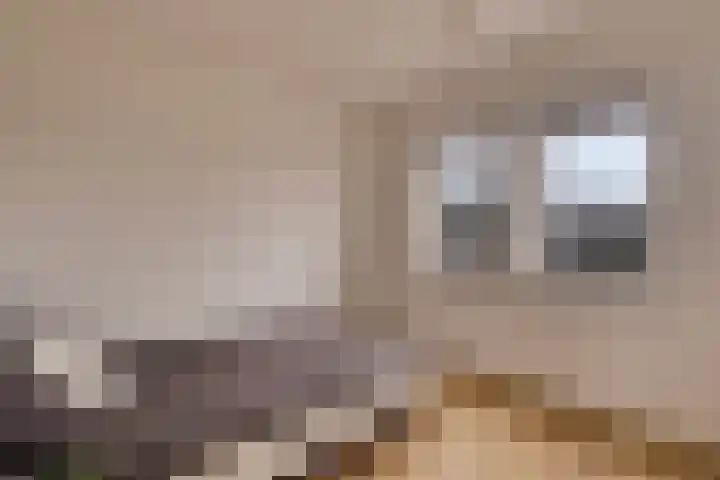 Getfertweg 153 Enschede thumbnail 30