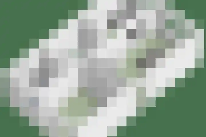 Getfertweg 223 Enschede thumbnail 38