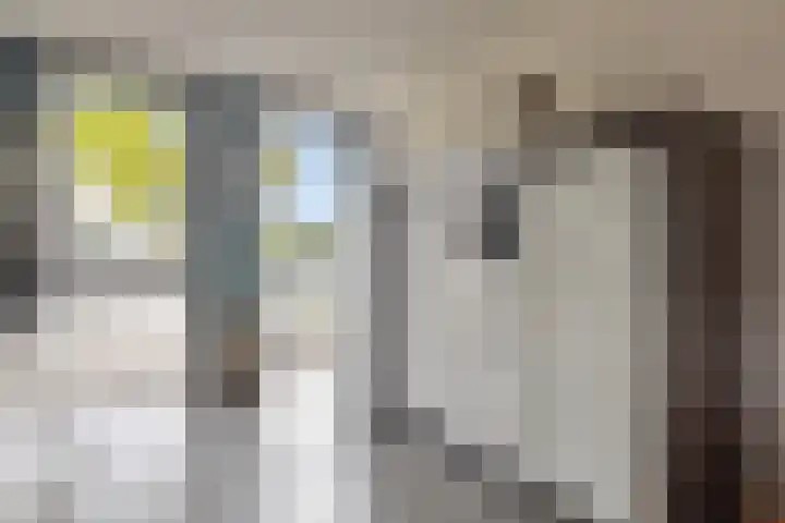 Getfertweg 356 Enschede thumbnail 12
