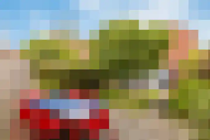Getfertweg 356 Enschede thumbnail 28