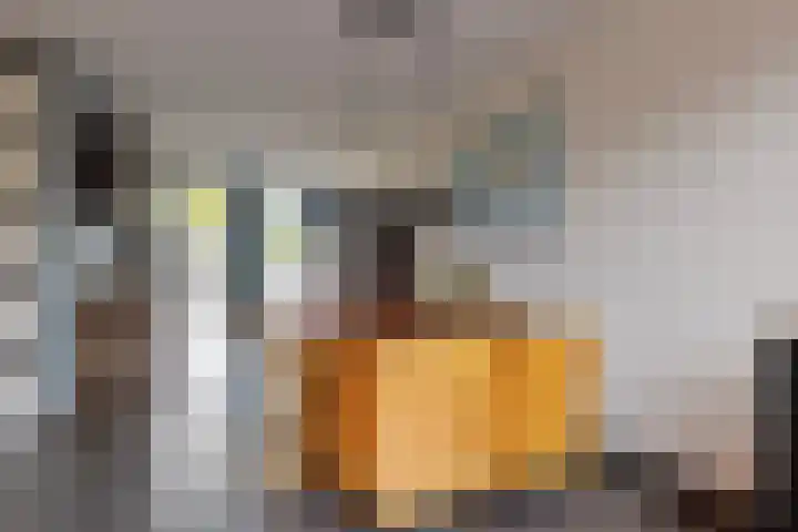 Getfertweg 356 Enschede thumbnail 8