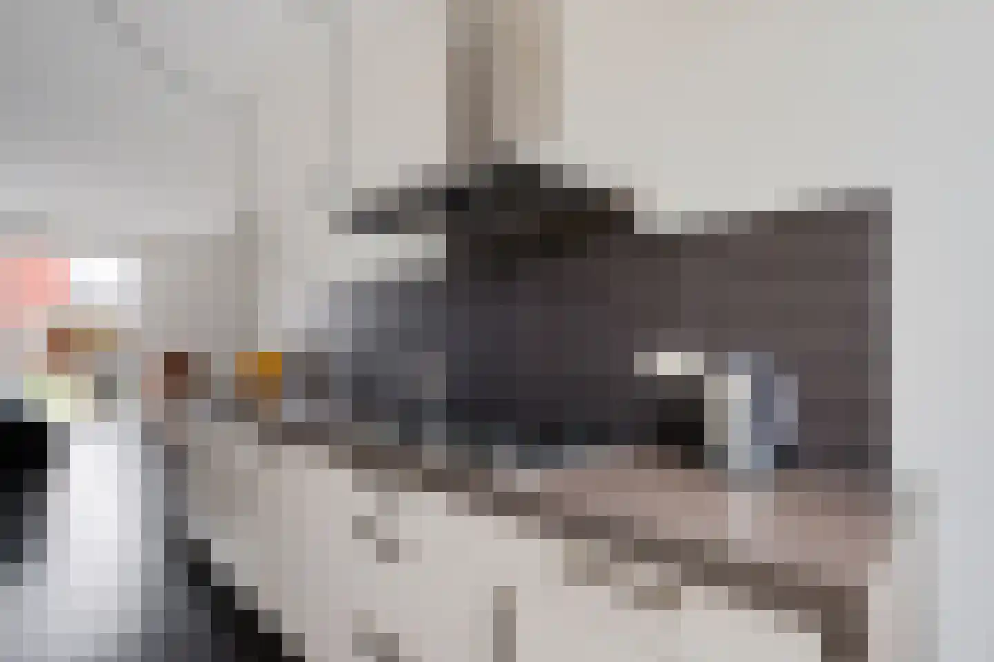 Getfertweg 370 Enschede thumbnail 16