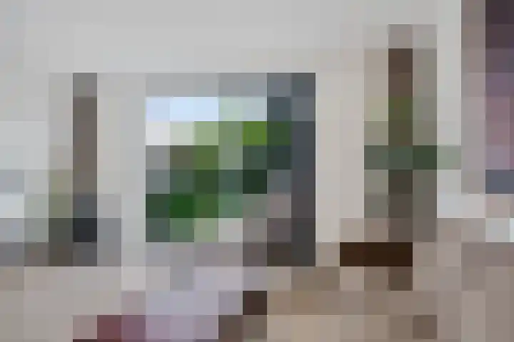 Getij 3 Alkmaar thumbnail 11