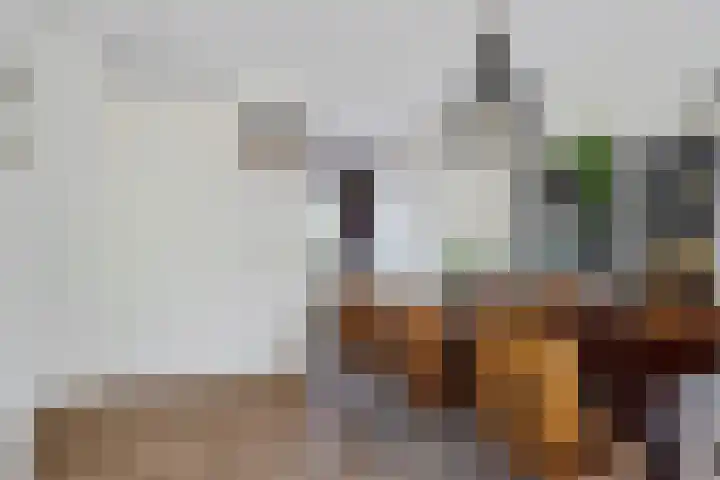 Getij 3 Alkmaar thumbnail 13