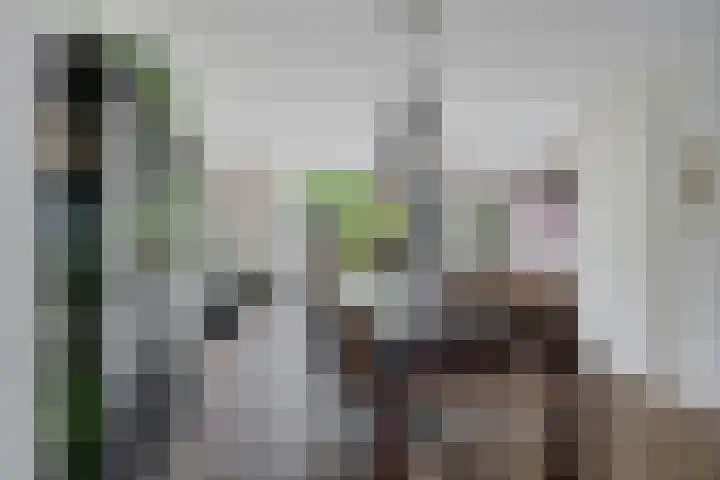 Getij 3 Alkmaar thumbnail 15