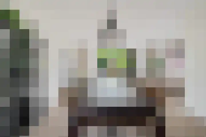 Getij 3 Alkmaar thumbnail 16