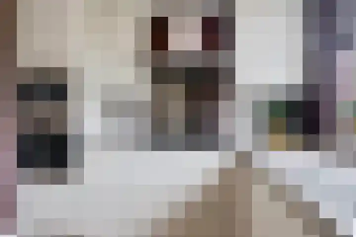 Getij 3 Alkmaar thumbnail 19