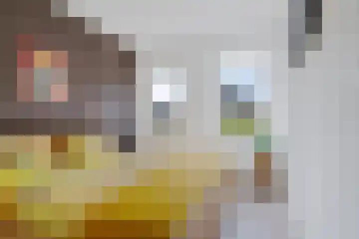 Getij 3 Alkmaar thumbnail 24