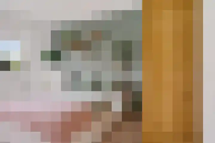 Getij 3 Alkmaar thumbnail 31