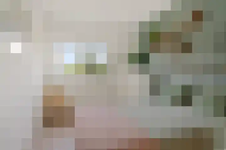 Getij 3 Alkmaar thumbnail 32