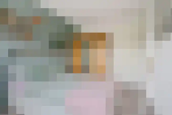 Getij 3 Alkmaar thumbnail 33