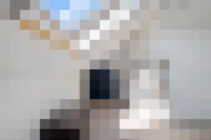 Getij 3 Alkmaar thumbnail 39