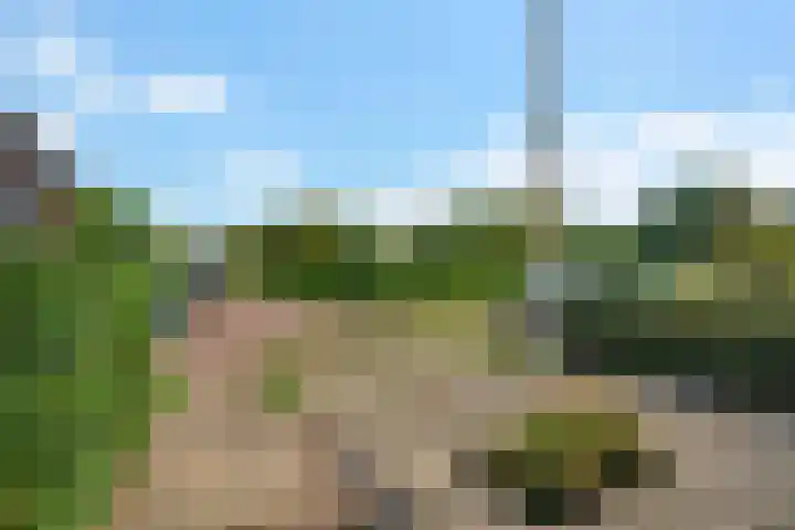 Getij 3 Alkmaar thumbnail 4