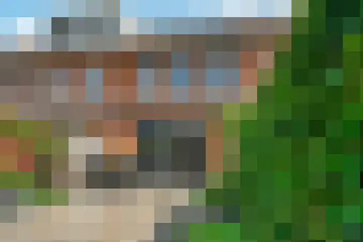 Getij 3 Alkmaar thumbnail 40