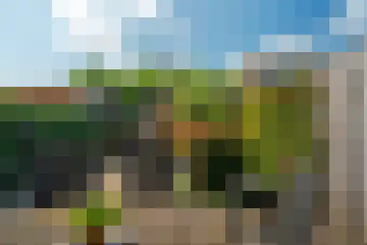 Getij 3 Alkmaar thumbnail 42