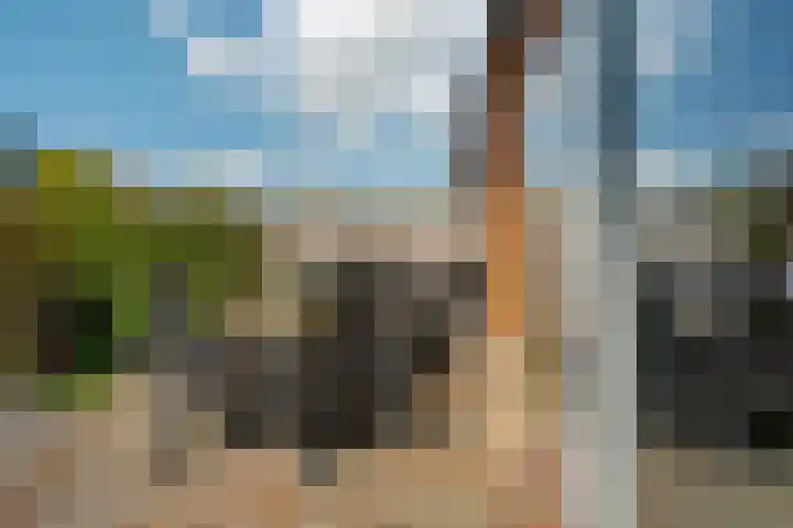 Getij 3 Alkmaar thumbnail 45