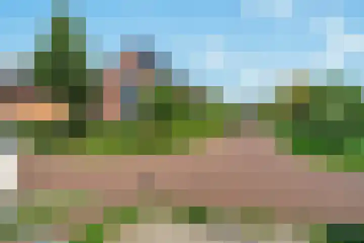 Getij 3 Alkmaar thumbnail 47