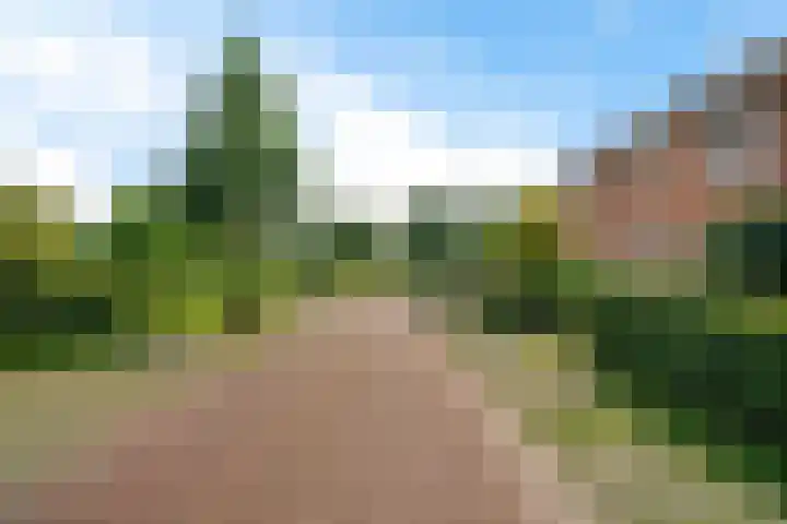 Getij 3 Alkmaar thumbnail 48