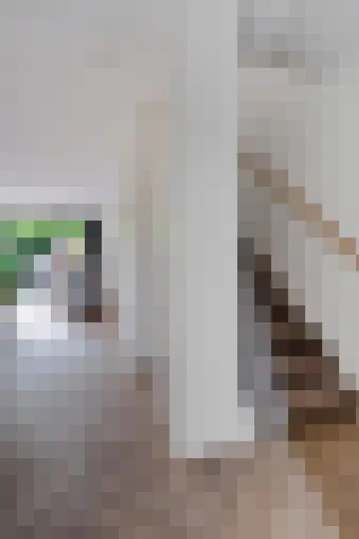 Getij 3 Alkmaar thumbnail 5