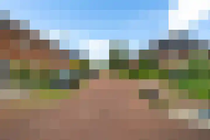 Getij 3 Alkmaar thumbnail 50