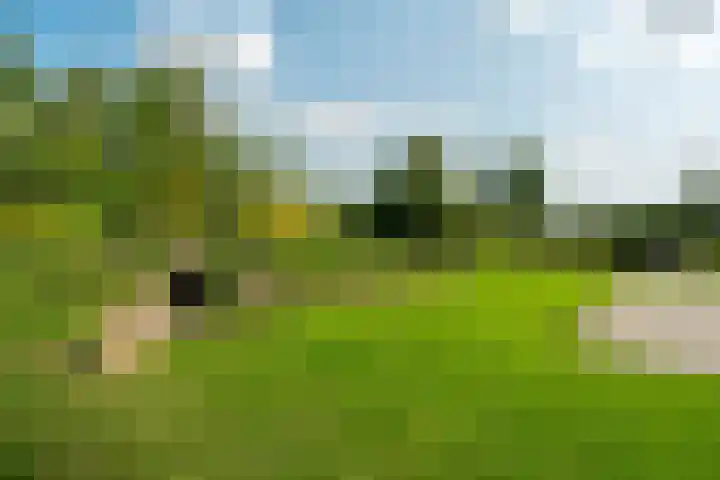 Getij 3 Alkmaar thumbnail 51