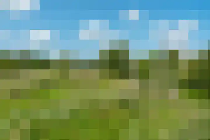 Getij 3 Alkmaar thumbnail 52