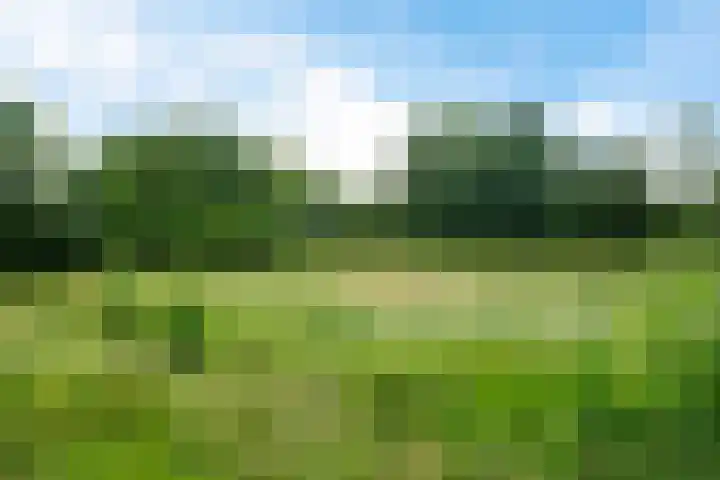 Getij 3 Alkmaar thumbnail 54
