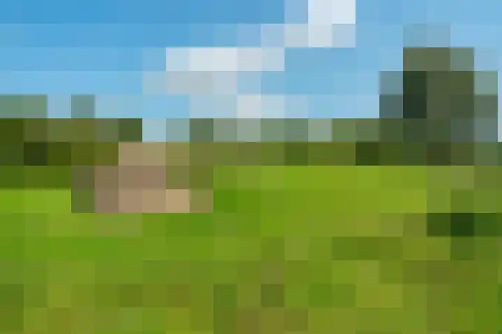 Getij 3 Alkmaar thumbnail 55