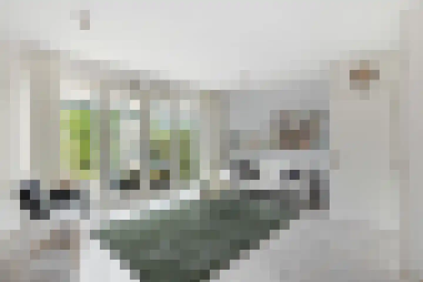 Getij 43 Groningen thumbnail 15