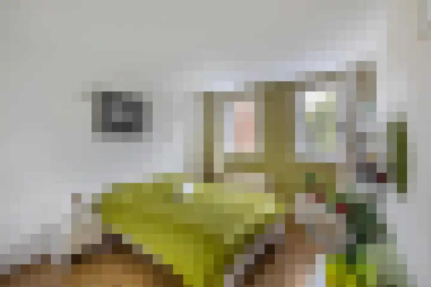 Getij 43 Groningen thumbnail 27