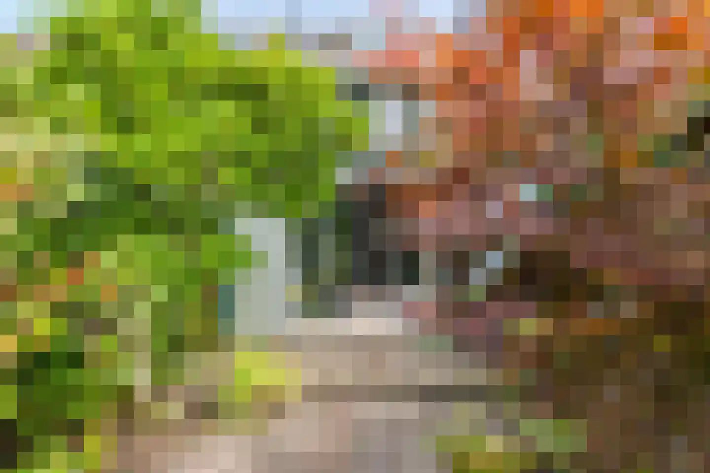 Getij 43 Groningen thumbnail 38