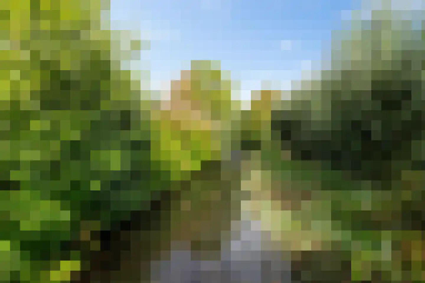Getij 43 Groningen thumbnail 42