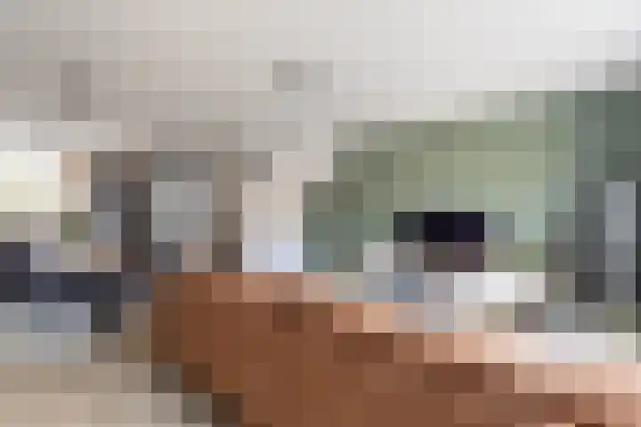 Getij 9 Alkmaar thumbnail 7