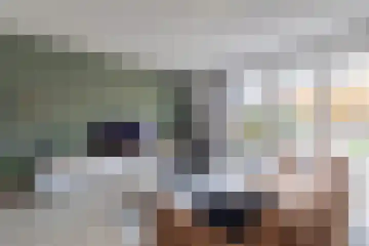 Getij 9 Alkmaar thumbnail 9