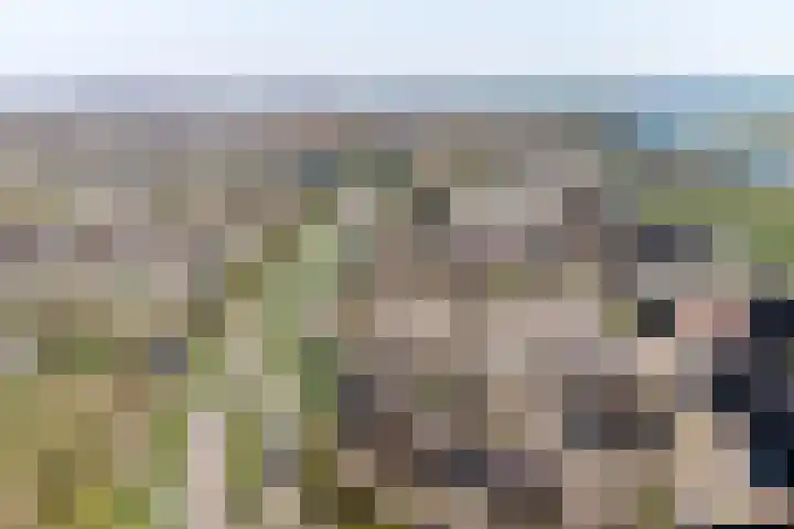 Getijdemonde 12 Nieuwegein thumbnail 30