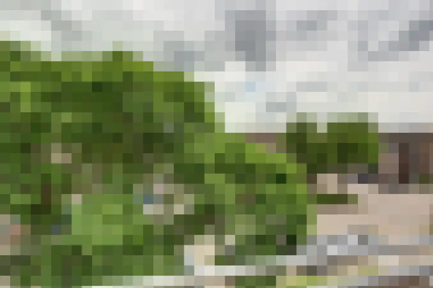 Getijdemonde 36 Nieuwegein thumbnail 8