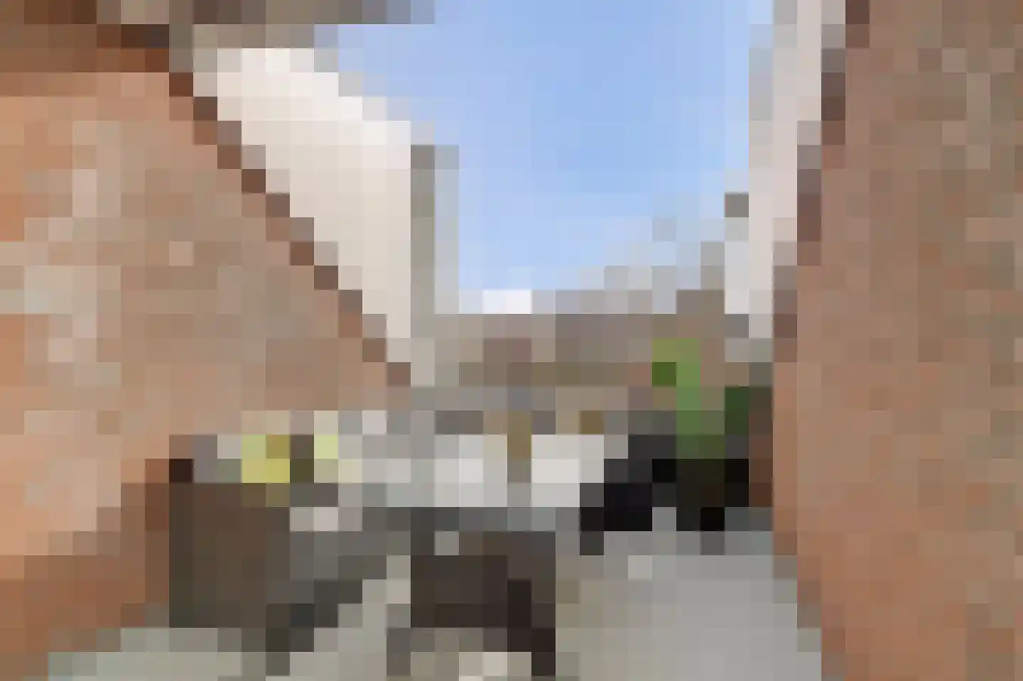 Getijdemonde 7 Nieuwegein thumbnail 4