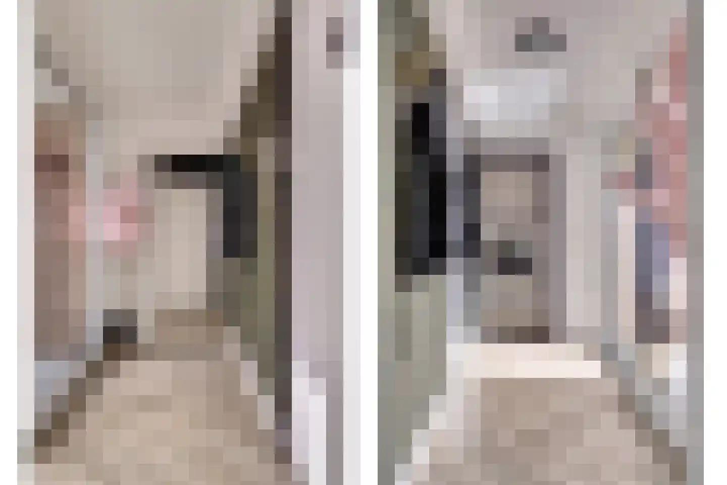 Getijdemonde 7 Nieuwegein thumbnail 9