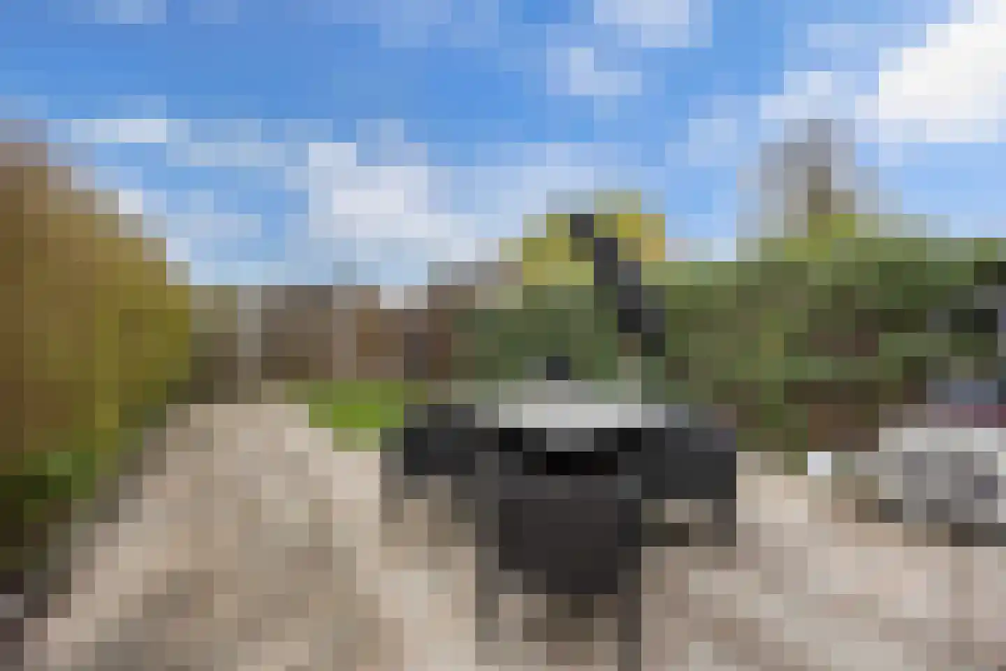 Getijdenlaan 10 Lelystad thumbnail 17