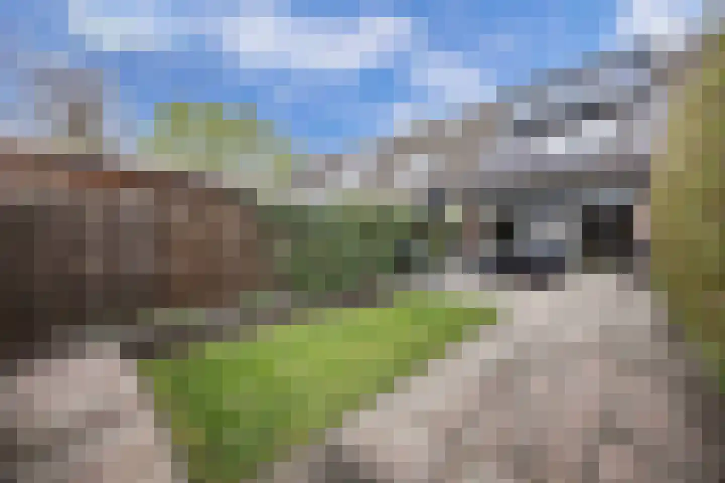 Getijdenlaan 10 Lelystad thumbnail 20